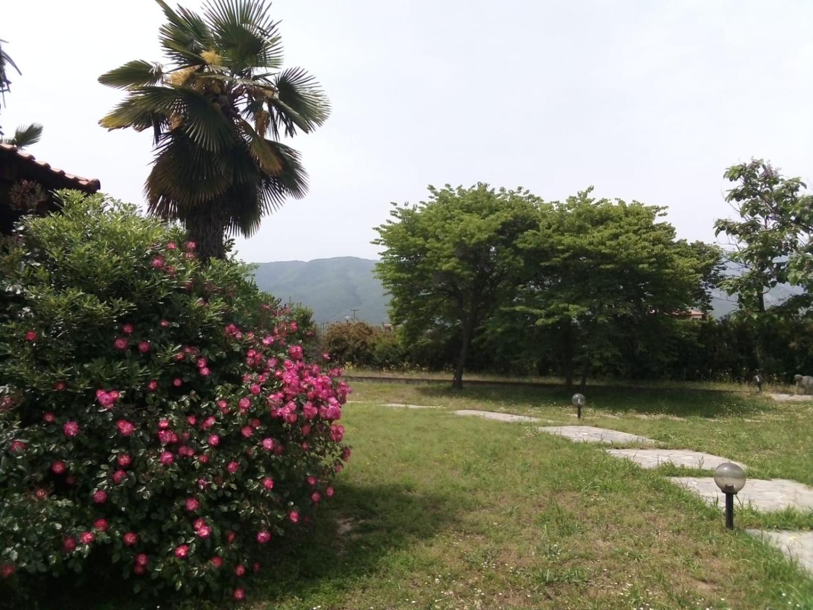 Villa Anna Λεπτοκαρυά Εξωτερικό φωτογραφία