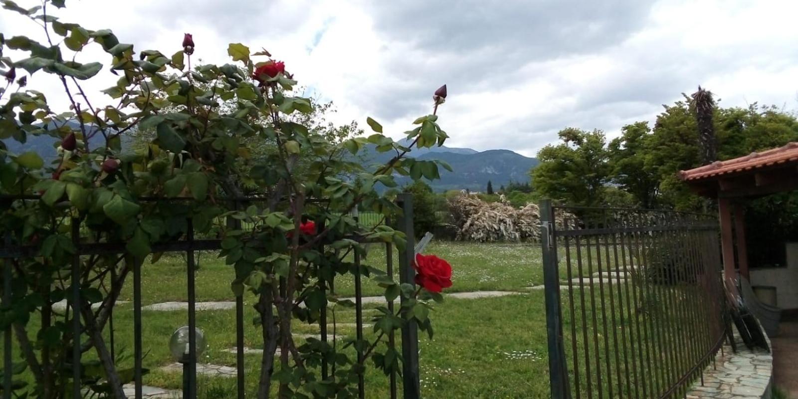 Villa Anna Λεπτοκαρυά Εξωτερικό φωτογραφία