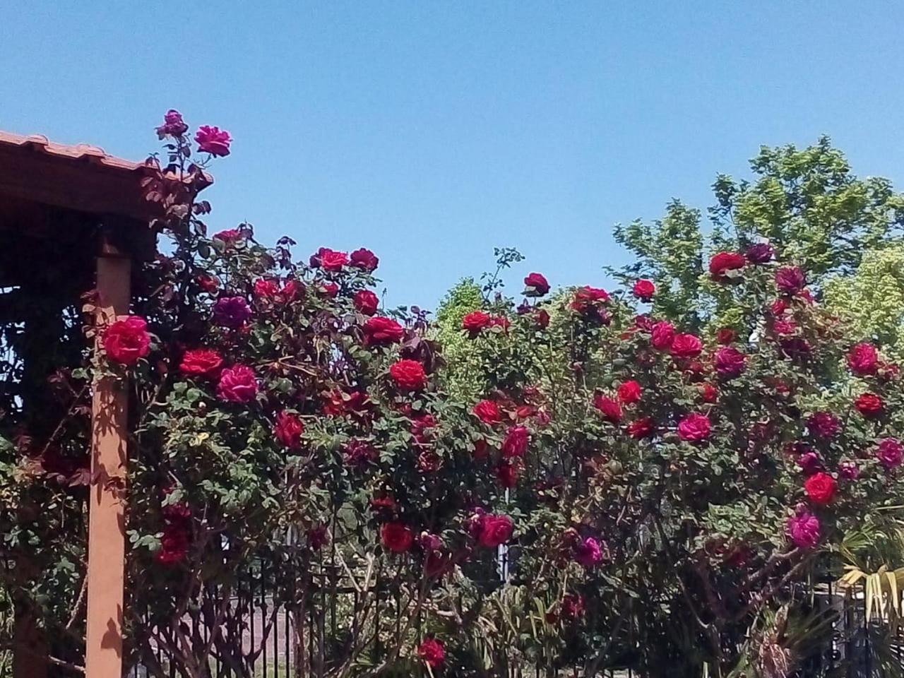 Villa Anna Λεπτοκαρυά Εξωτερικό φωτογραφία