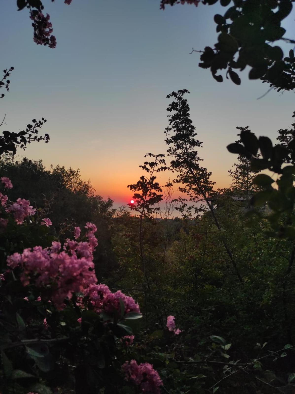 Villa Anna Λεπτοκαρυά Εξωτερικό φωτογραφία