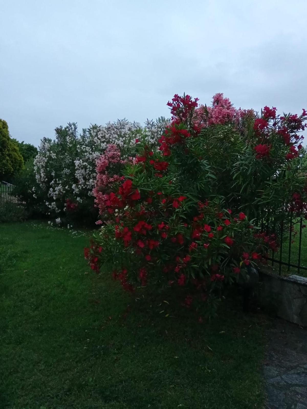 Villa Anna Λεπτοκαρυά Εξωτερικό φωτογραφία