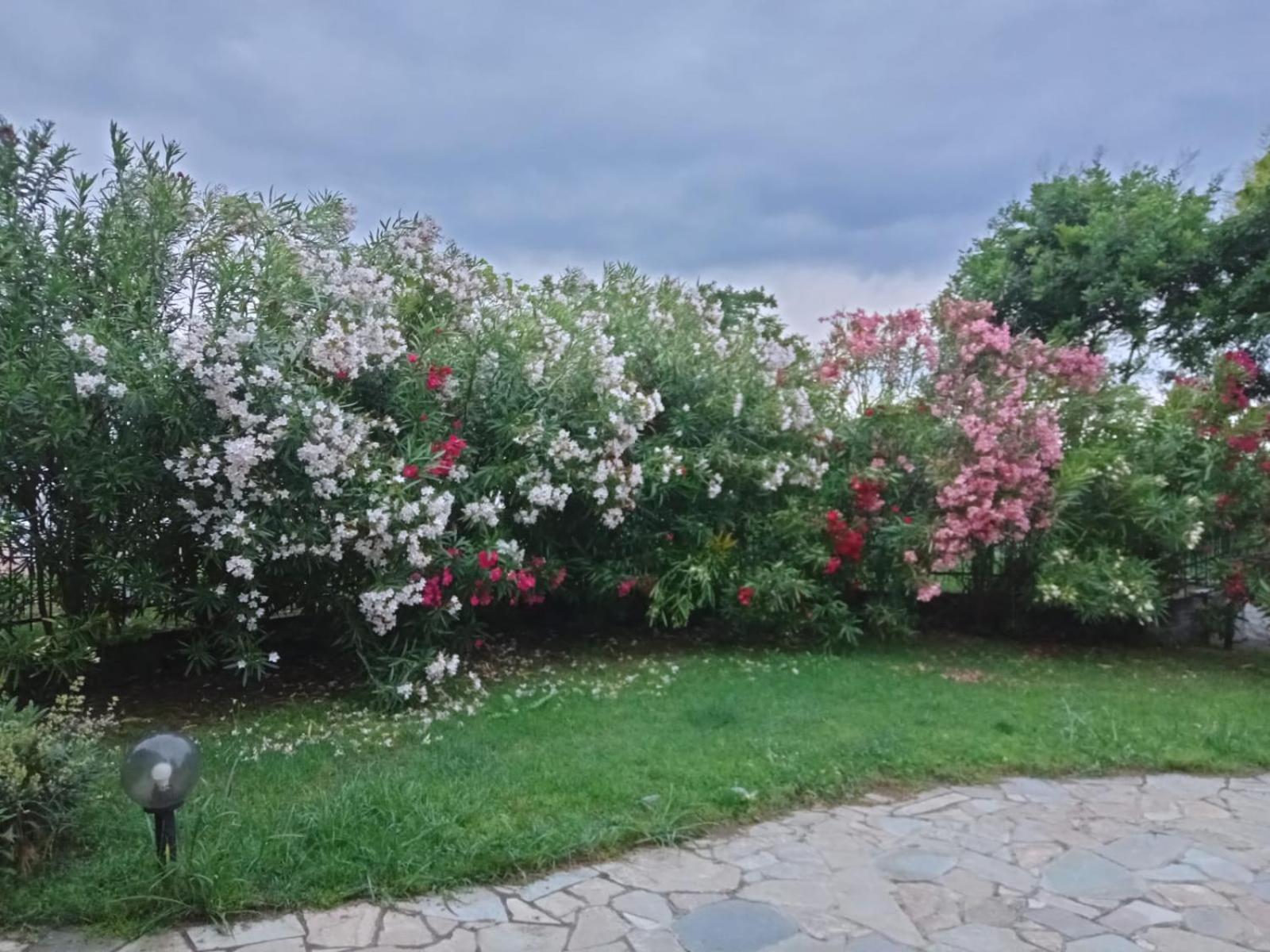 Villa Anna Λεπτοκαρυά Εξωτερικό φωτογραφία